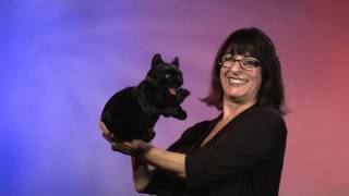 Folkmanis® Black Cat Puppet Demo [upl. by Iramo210]