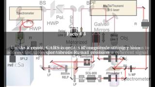 Coherent antiStokes Raman spectroscopy Top  5 Facts [upl. by Buiron]