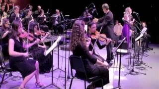 New York Arabic Orchestra  Compilation [upl. by Gunning679]