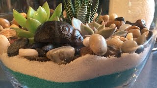 DIY Succulent Terrarium [upl. by Dayna780]