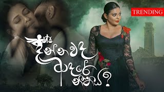 Dannawada Adare Neethiya  දන්නවද ආදරේ නීතිය  Abhisheka Wimalaweera  Official Music Video [upl. by Aidnyl439]