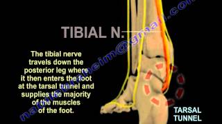 Dont Ignore Your Ankle Pain Understanding Ankle Arthritis [upl. by Rafferty]