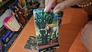 TAROT PE ZODII 💯 16  22 SEPTEMBRIE 2024  PREVIZIUNI ✨️ [upl. by Maharba]