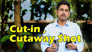 ফিল্ম ভিডিও এডিটিং থিউরি । Cutin and Cutaway Shot । Film Editing Technique [upl. by Schaeffer774]