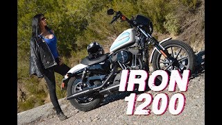 Harley Davidson Sportster Iron 1200  Review [upl. by Clarance]