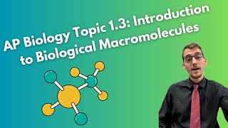 13 Introduction to Biological Macromolecules  AP Biology [upl. by Shawnee]