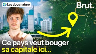 Une capitale futuriste géante… en pleine forêt [upl. by Judie847]