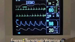 Monitor Anestesia Veterinaria Mindray PM9000Vet [upl. by Anawait]