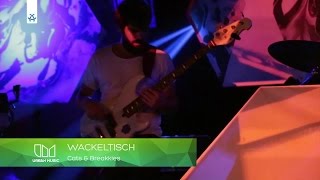 Cats amp Breakkies  Wackeltisch LIVE [upl. by Zadack296]