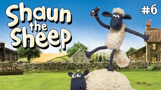 Fleeced x3 Episodes  Season 1 DVD Collection  Shaun the Sheep [upl. by Nylimaj]