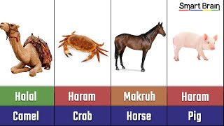 Halal and Haram animal meat in Islam [upl. by Sirraj]