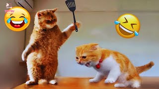 Best Funny Animals 2024 😂 Funniest Dogs and Cats Videos 😻🐶 part 87 [upl. by Atinit]