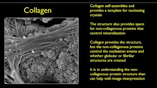 Demineralization tutorial 3 [upl. by Gelman]