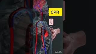 CPR cardiopulmonary resuscitation [upl. by Sanderson]