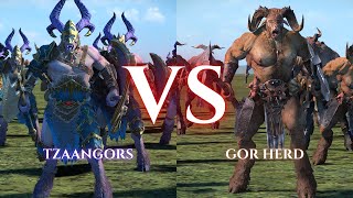 WARHAMMER III Total War  Tzaangors VS Gor Herd [upl. by Oenire329]