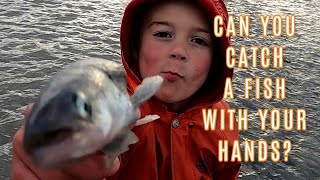 CAN YOU CATCH A FISH WITH YOUR HANDS  HOOLIGAN FISHING ON THE SUSITNA RIVER This Alaska Life [upl. by Devon803]