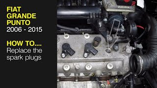 How to replace the spark plugs on the Fiat Grande Punto 2006 to 2015 [upl. by Auhs]