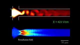 Electrokinetic Instability in a Cross Shaped Microchannel [upl. by Nysa]