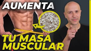 🔥 TOP 3 Ejercicios Perfectos para Quemar GRASA ABDOMINAL Rápido📉 Añádelos a tu Rutina [upl. by Leler]