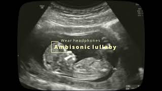 What can babies hear inside the womb ambisonic simulation [upl. by Hippel]