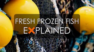 Fresh Frozen Fish  EXPLAINED [upl. by Carey]