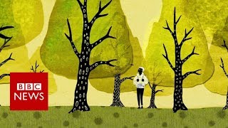 How trees secretly talk to each other  BBC News [upl. by Woodhouse464]