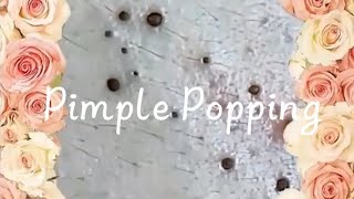 Pimple amp Blackheads Popping  9 [upl. by Gabrila331]