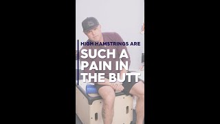 High Hamstrings Are Such a Pain in the Butt [upl. by Victorine]