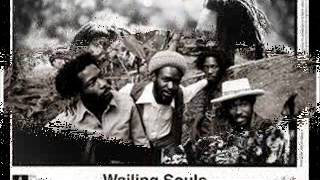 The Wailing Souls  shark attack [upl. by Terris]