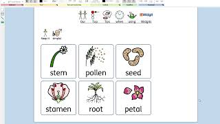 Top tips for using Widgit symbol language [upl. by Regnig]
