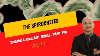 The Spirochetes [upl. by Nhabois]