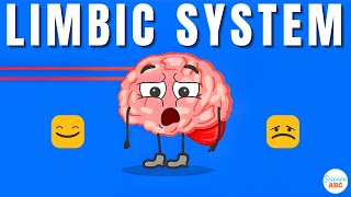 Emotions and the Brain What is the limbic system [upl. by Maryn]