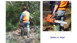 Basic chainsaw principles [upl. by True]