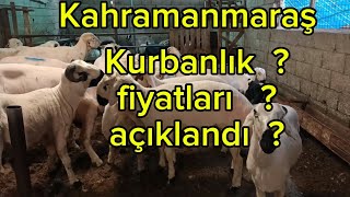 Kurban bayramı yaklaştı fiyatlar açıklandı kurbanlıkfiyatları kurban kurbanbayramı [upl. by Bathesda]