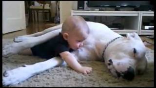 the best Cuddle Dog And Baby HD [upl. by Rhetta]