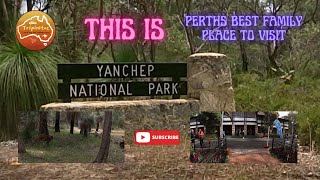 Yanchep National Park Western Australia [upl. by Nitsugua]