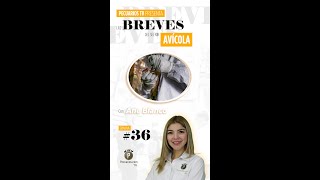 Pecuarios TV Las breves del sector avícola  06 Septiembre 2024 [upl. by Samira]