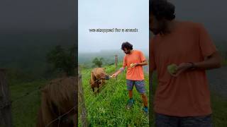 Day 6 🥾 Camino del Norte txirimiri new friends epic rainstorms [upl. by Arlan391]