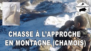 Chasse à lapproche en montagne chamois [upl. by Osterhus]