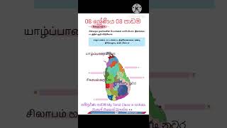 8 ශ්‍රේණිය 8 පාඩම  Grade 8 Lesson 8  grade 8 lesson 8  second tamil in education language [upl. by Isaacson]