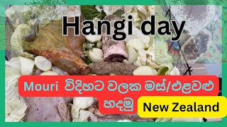 Hangi day in New Zealand🤪👌New Zealand dairy farming lifeනවසීලන්ත ගොවිපලක සවාරිය [upl. by Lenno]