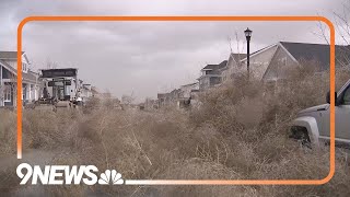 Utah town overrun by thousands of tumbleweeds [upl. by Ientirb]