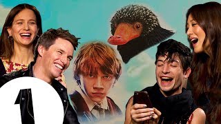 Ron vs The Niffler Who wins The Fantastic Beasts 2 cast on the real star of the series [upl. by Oilime]