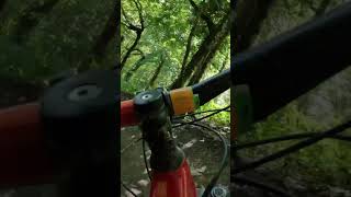 Doing Norkle at Bike Bark Walesbikepark bikeparkwales mtb mountainbike mtblife [upl. by Rory]