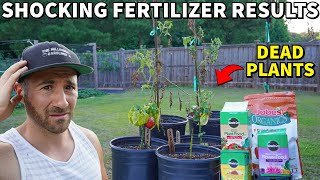 This STUPID Fertilizer Experiment Killed EVERY ONE Of My Plants [upl. by Hsetirp]