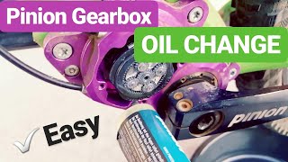 PINION GEARBOX OIL CHANGE  How to change P112 oil  EASY [upl. by Gorey536]