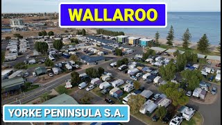 Wallaroo Holiday Park  Yorke Peninsula  South Australia [upl. by Giustino331]