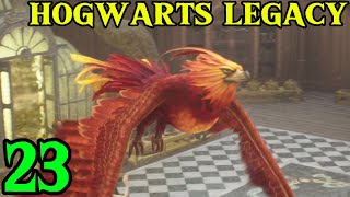 Lets Play Hogwarts Legacy Episode 23  Phoenix Hunting [upl. by Loni338]