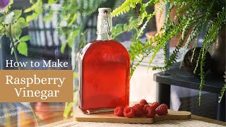 How to Make Homemade Raspberry Vinegar Simple and Delicious Summer Recipe [upl. by Koziel739]