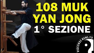 UOMO DI LEGNO WING CHUN  108 MUK YAN JONG  1 Sezione  Vizconde Kung fu [upl. by Eilagam]